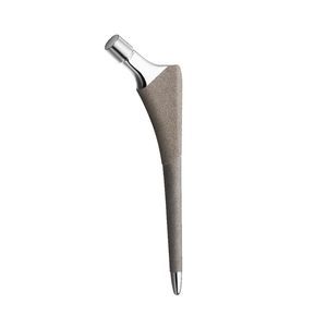 vástago femoral no cementado