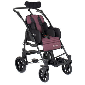 carrito para niños con discapacidad 1