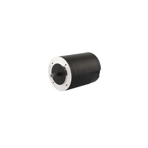 motor brushless