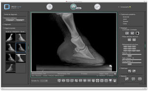 software para radiología veterinaria