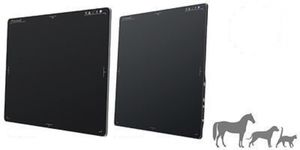 panel detector plano para radiografía veterinaria 1