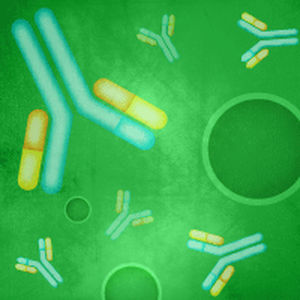 kit de reactivos anticuerpo monoclonal