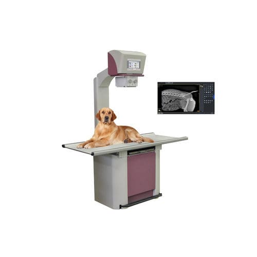 Sistema de radiografía veterinaria digital - IDeVet Digital Veterinarian Imaging - con mesa