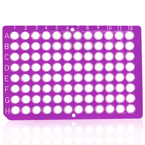 Microplaca para PCR - FrameStar®  - Azenta life sciences - de 96 orificios
