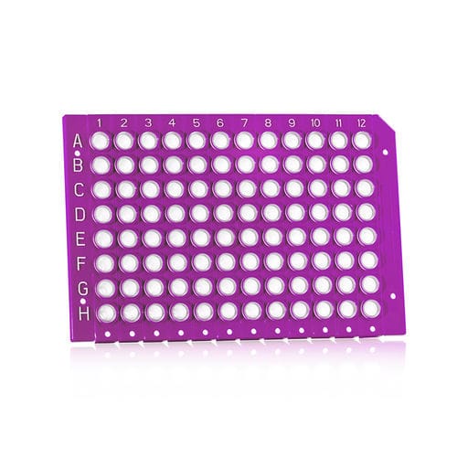Microplaca de laboratorio - FrameStar®  - Azenta life sciences - de 96 orificios / 8 pocillos / rompible