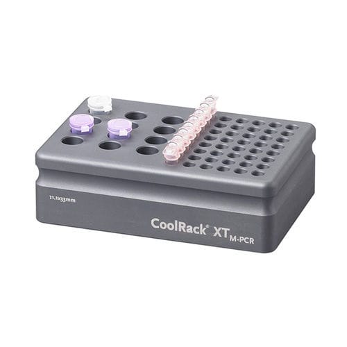 Soporte de laboratorio de tubos - CoolRack™ XT - Azenta life sciences - para tubos de microcentrífuga / de congelación / de refrigeración