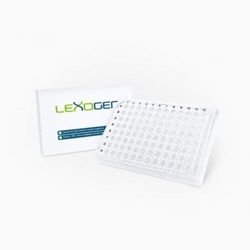 Kit de reactivos en solución - LUTHOR  - lexogen - de preparación de bancos de ARN / líquido