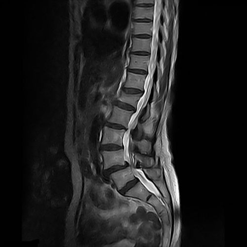 Software de visualización - GOPView MRI2Plus - ContextVision - para IRM