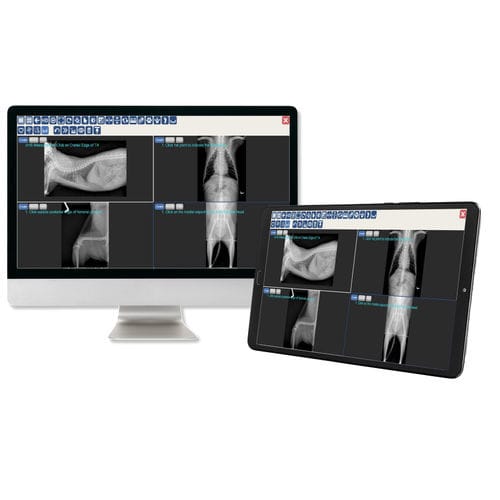 PACS para imágenes médicas - JPI Healthcare Solutions - veterinario