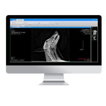 PACS para imágenes médicas - ExamVue  - JPI Healthcare Solutions - veterinario