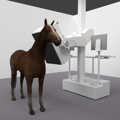 Tomografía computarizada veterinaria para équidos - MIE