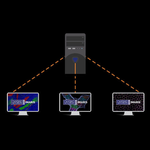 Software de análisis de imágenes - Imaris  - Oxford Instruments - para informes / de visualización 3D / de medición