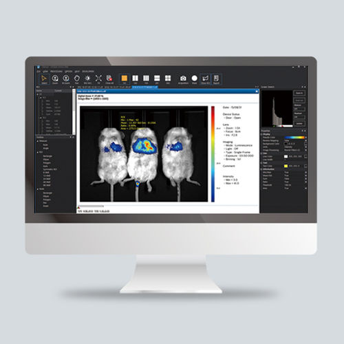 Software para imágenes preclínicas - CleVue™ - Vieworks - de análisis de imágenes / de control / de visualización