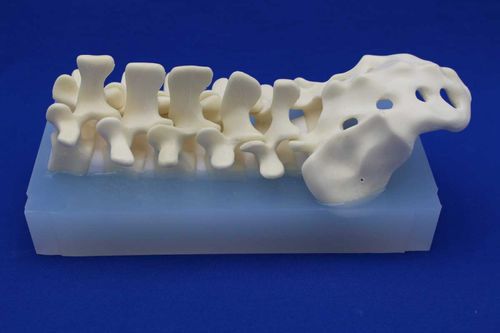 Modelo anatómico de la columna vertebral lumbar - LSEP - Créaplast - de formación / flexible