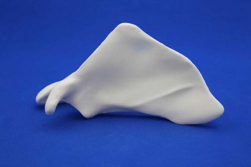 Modelo anatómico de omóplato - MNO - Créaplast - de formación
