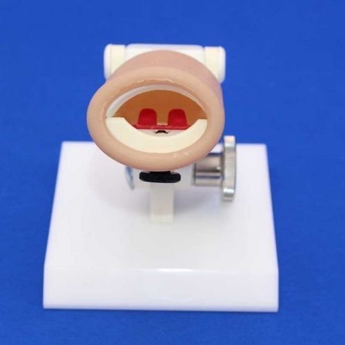 Simulador de paciente para cirugía plástica - SIMFVP - Créaplast - de bebé / de boca