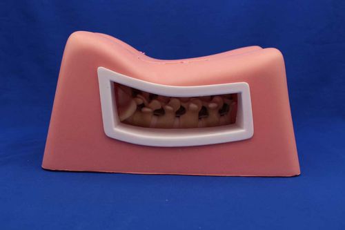 Simulador de formación - MISPIN - Créaplast - para cirugía mínimamente invasiva / para neurocirugía del raquis / de torso