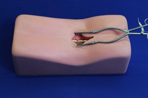 Simulador de paciente para neurocirugía del raquis - LM00 - Créaplast - de torso