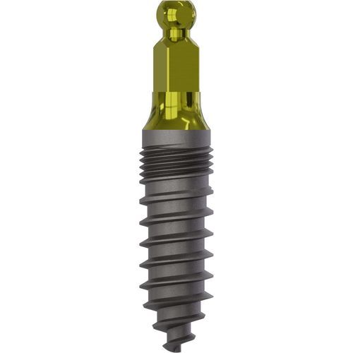 Implante dental cónico - 2025 - Champions Implants GmbH - de titanio / tipo bola / recto