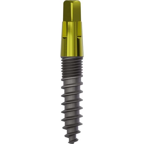 Implante dental cónico - 1040 - Champions Implants GmbH - de titanio / cuadrado / recto