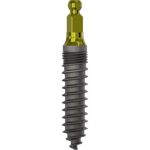 Implante dental cilíndrico - 2070 - Champions Implants GmbH - de titanio / tipo bola / recto