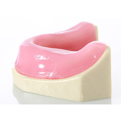 Modelo anatómico de mandíbula - E21 - GF DENTAL - de encías / de implantología / de formación