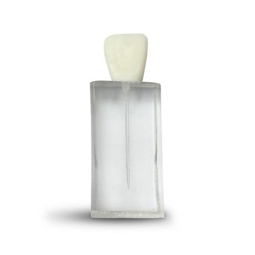 Modelo anatómico para odontología - E07/C - GF DENTAL - para endodoncia / de formación / blanco