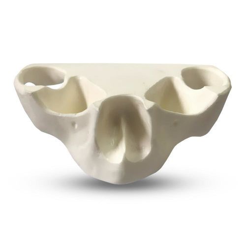 Modelo anatómico sinovial - E36/N - GF DENTAL - de seno / de hueso / de mandíbula