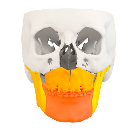 Software de visualización 3D - Global D - de tratamiento / de planificación / de captura