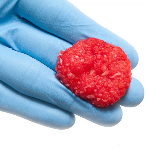 Sustituto óseo alotrasplante - BioAdapt® DBM - RTI Surgical - para cirugía ortopédica / maleable