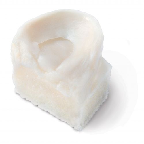 Prótesis de menisco alotrasplante - BioCleanse®  - RTI Surgical