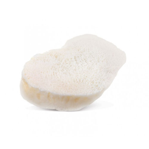 Sustituto óseo alotrasplante - AlloWedge® - RTI Surgical - para cirugía ortopédica / rígido