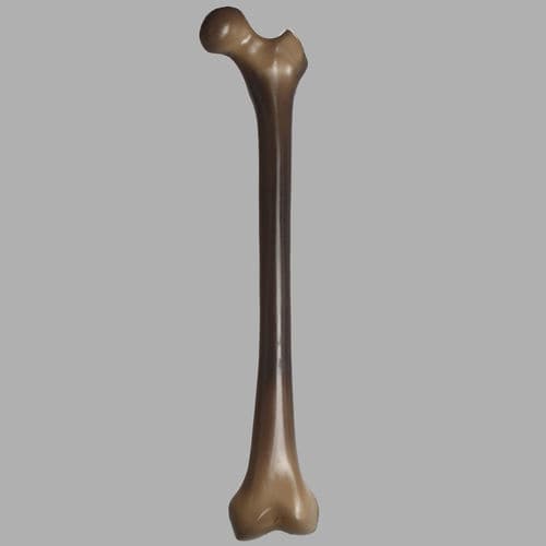 Modelo anatómico de hueso - 3403 - Sawbones/Pacific Research Labs - de fémur / de formación / para pruebas biomecánicas