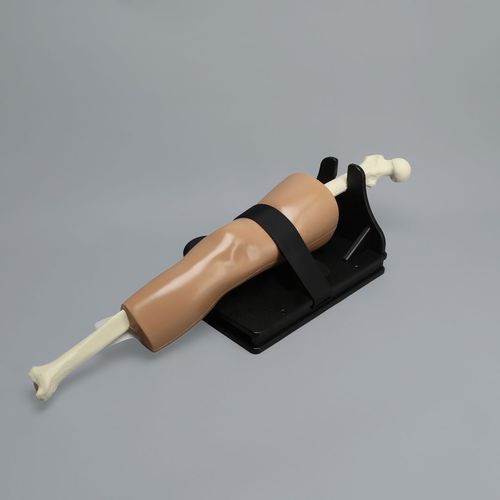 Simulador de formación - ALICE Knee - Sawbones/Pacific Research Labs - de evaluación / para atención general / de anatomía