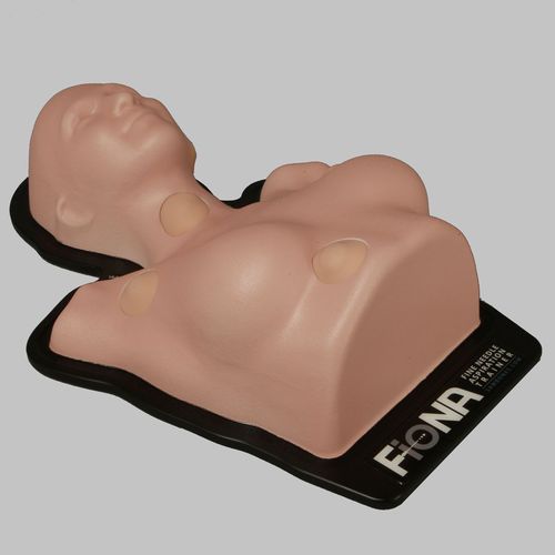 Simulador de formación - FioNA™ - Sawbones/Pacific Research Labs - de inyección / de punción / para atención general