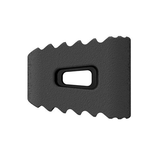 Caja intersomática cervical - MATISSE NITRO™ - CTL Medical Corporation - vía anterior