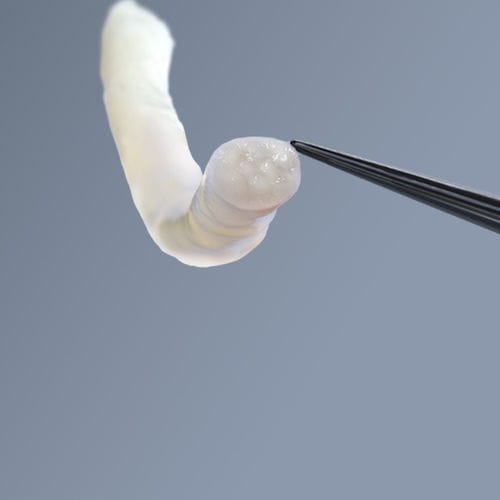Matriz tisular nerviosa - avance® - AxoGen - alotrasplante