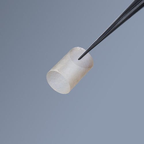 Matriz tisular nerviosa - axoguard ® - AxoGen - xenotransplante