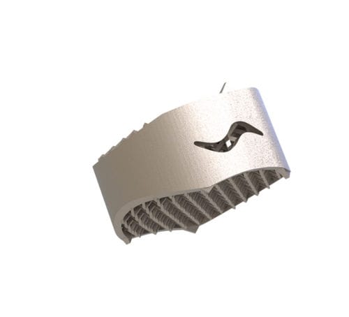 Caja intersomática cervical - Capraia ACIF - Tsunami Medical - vía anterior / de titanio