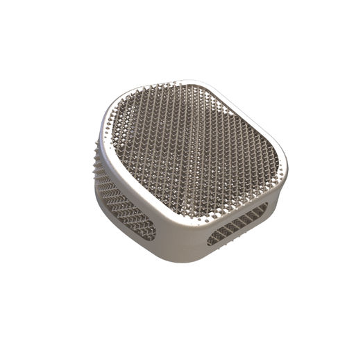Caja intersomática lumbar - Ortigia OLIF  - Tsunami Medical - vía oblicua / de titanio