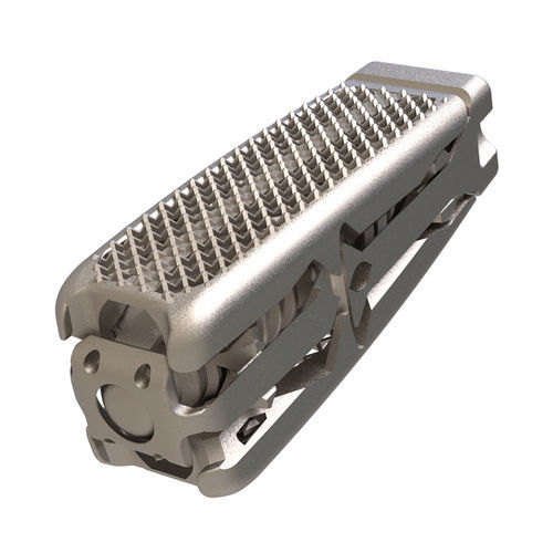 Caja intersomática lumbar - Procida PLIF  - Tsunami Medical - vía posterior / de titanio / extensible