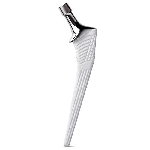 Vástago femoral de revisión - CINEOS® Hc - X-NOV Medical Technology - no cementado