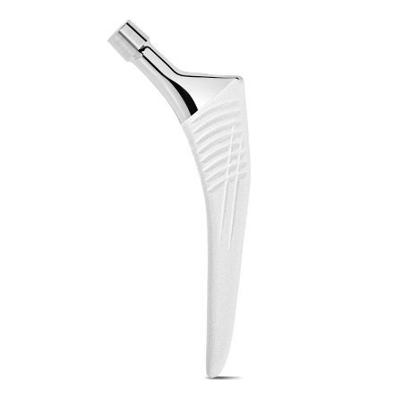 Vástago femoral de revisión - Naos®XHO - X-NOV Medical Technology - no cementado