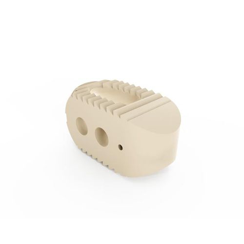 Caja intersomática lumbar - 100 series - South America Implants - vía posterior / de PEEK