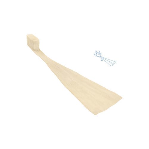 Prótesis de ligamento tendón calcáneo - SteriGraft®  - Bone Bank Allografts - alotrasplante