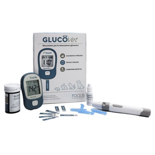 Glucómetro automático - Foschi - veterinario
