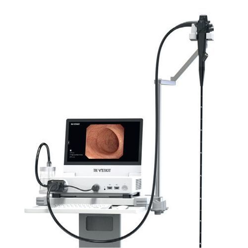 Videogastroscopio con canal operador - GASTRO CAT-SDOG - Foschi