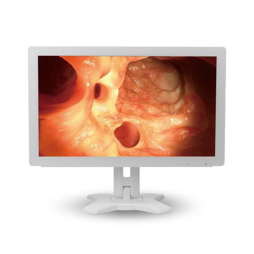 Monitor médico - MMS-21C series - BriteMED Technology - para endoscopia / Full HD / VGA