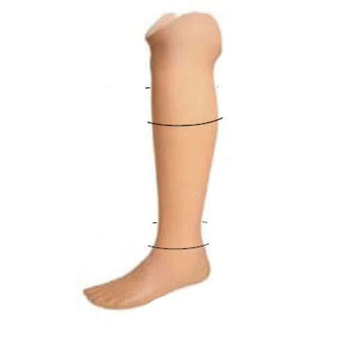 Funda estética pantorrilla - 2.005.01/2.005.02 - Roadrunnerfoot Engineering - pie / para adulto