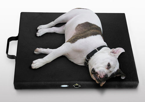 Unidad de magnetoterapia para cánidos - Centurion Kennel  - Centurion Systems - colchón
